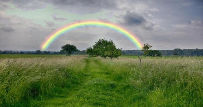 彩虹是怎么形成的？彩虹为什么有七种颜色？彩虹的寓意和象征是什么？